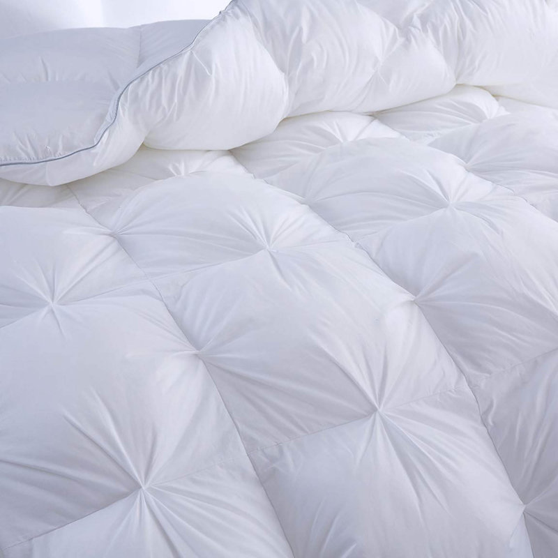 House of Hampton® All Season Goose Down Comforter Wayfair